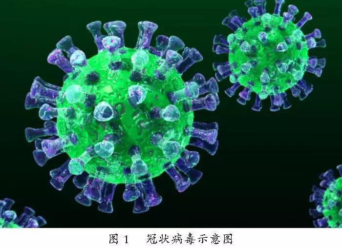 这个新冠病毒什么时候结束的/这个新冠病毒什么时候结束
