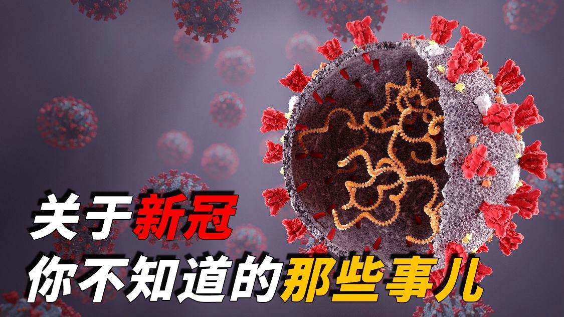 新冠病毒啥时结束的/新冠病毒啥时结束