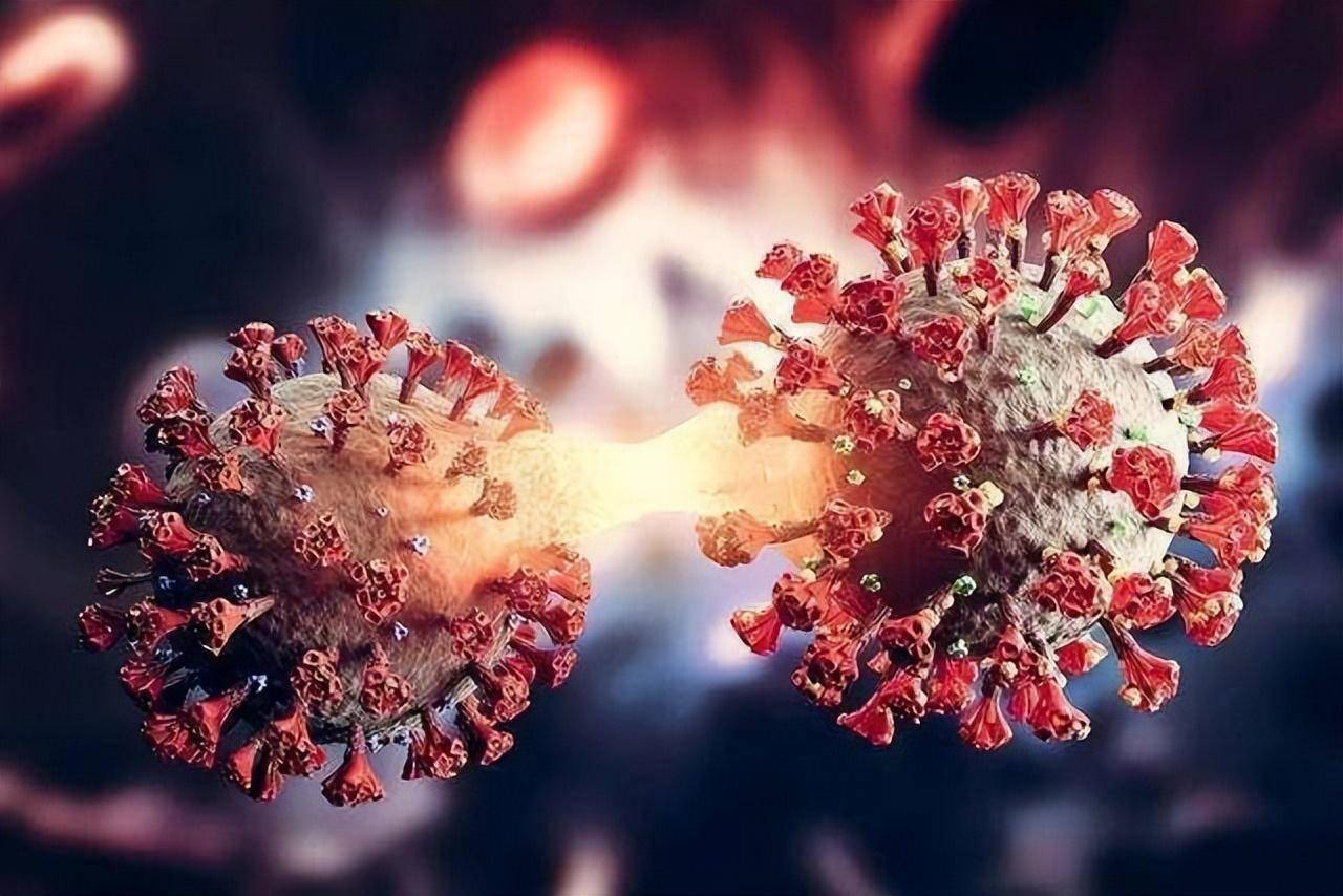 【新冠病毒什么时候才能结束啊,新冠病毒什么时候才能结束啊现在】 【新冠病毒什么时候才能结束啊,新冠病毒什么时候才能结束啊现在】