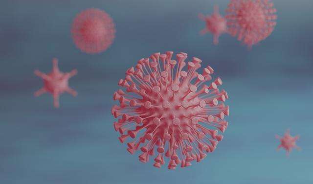 2023年的疫情叫什么病毒(2023年的疫情叫什么病毒呢) 2023年的疫情叫什么病毒(2023年的疫情叫什么病毒呢)