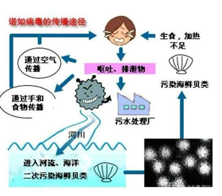 黑龙江疫情风险降低,天津新增病例活动轨迹公布! 黑龙江疫情风险降低,天津新增病例活动轨迹公布!