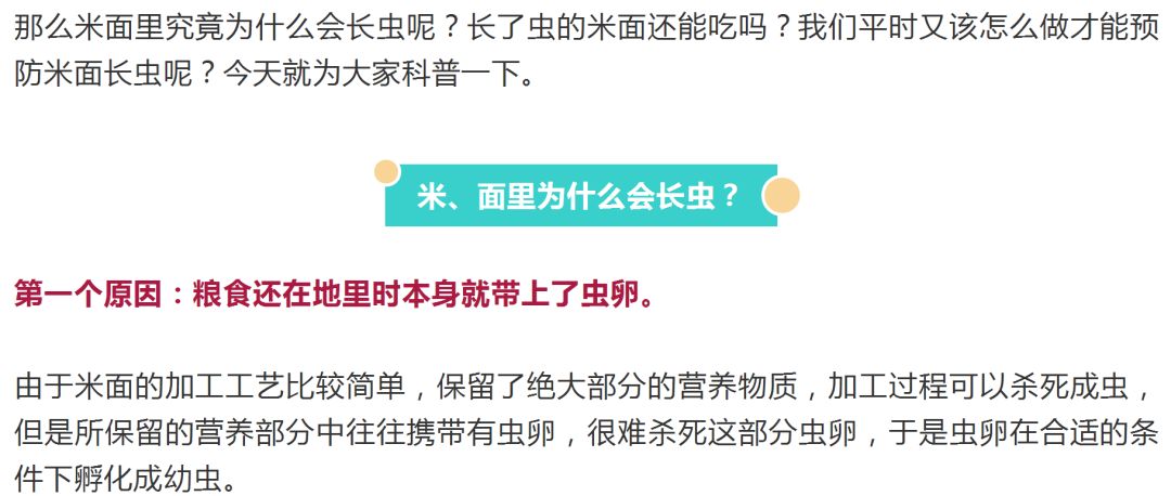 2024年广州再现病毒?真相揭秘与深度解析 2024年广州再现病毒?真相揭秘与深度解析