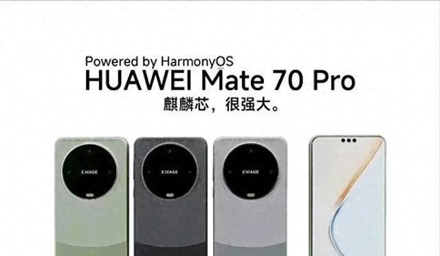 广州疫情2024年12月回顾，科学防控与城市韧性的双重考验