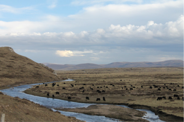 黑龙江省甘南县疫情下的坚韧与希望,小城大爱的温暖守护 黑龙江省甘南县疫情下的坚韧与希望,小城大爱的温暖守护
