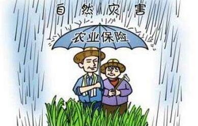 黑龙江省疫情重灾区深度解析，这些城市曾面临严峻挑战