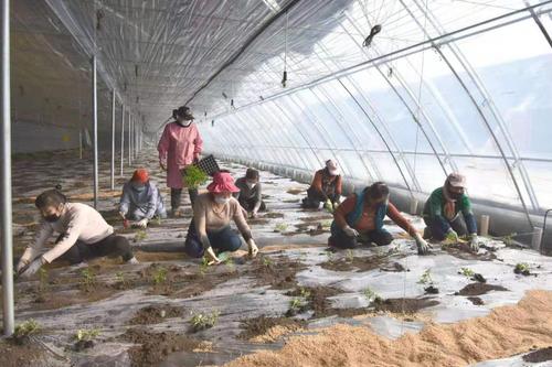 黑龙江省疫情最新分布情况,精准防控下的区域态势与应对策略 黑龙江省疫情最新分布情况,精准防控下的区域态势与应对策略