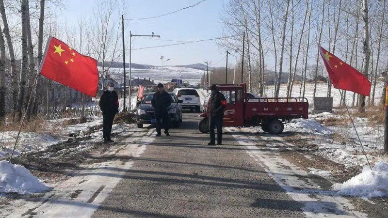 黑龙江省疫情最新进展，实时查询与防控措施详解