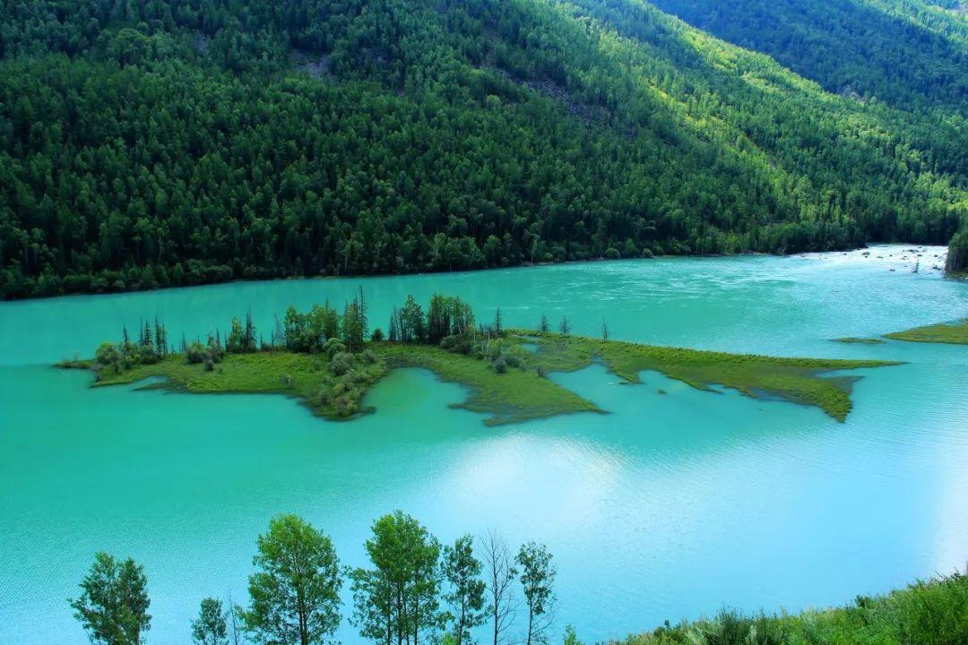 黑龙江省最新疫情动态与防控措施解析，精准应对，守护北疆健康防线