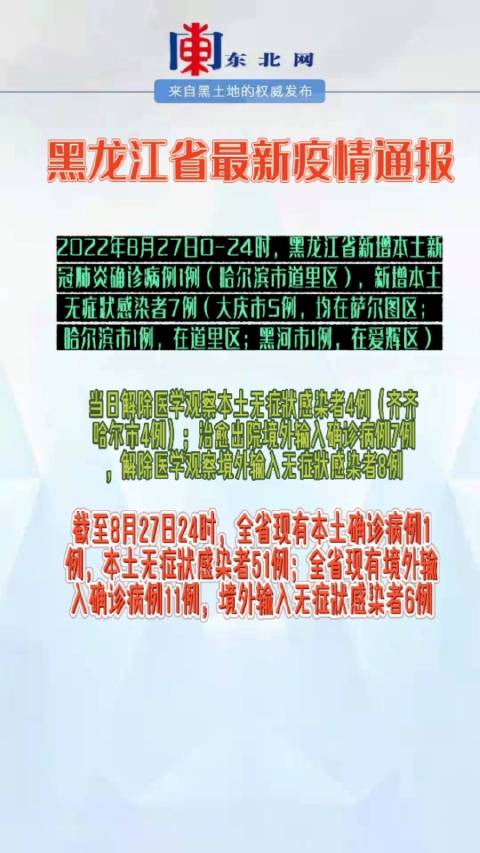 黑龙江省疫情最新公告，精准防控下的挑战与应对策略