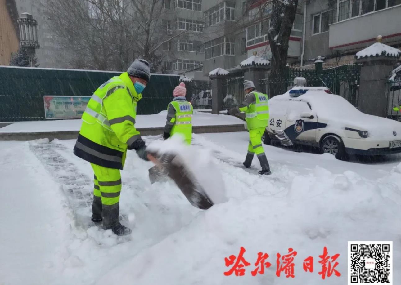 哈尔滨战疫纪实，冰雪之城的坚韧与温情