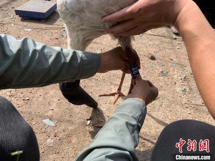 黑龙江省疫情防控最新指示，科学精准施策，筑牢北疆健康防线