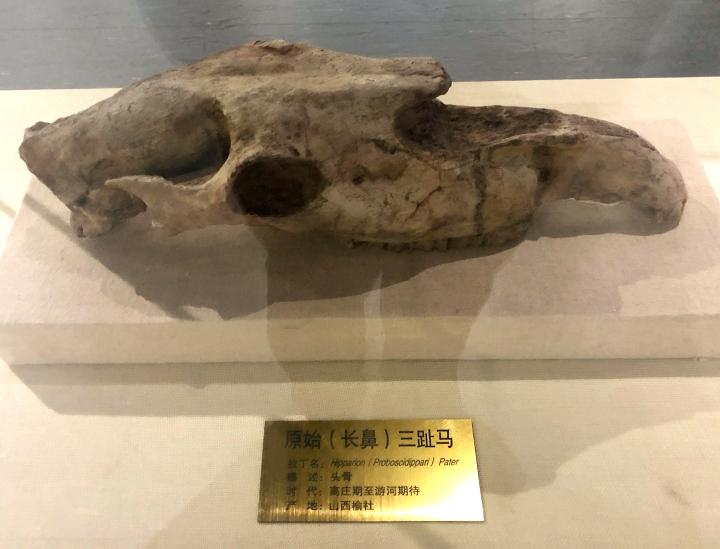 黑龙江省疫情防控公告，科学精准施策，筑牢北疆健康防线