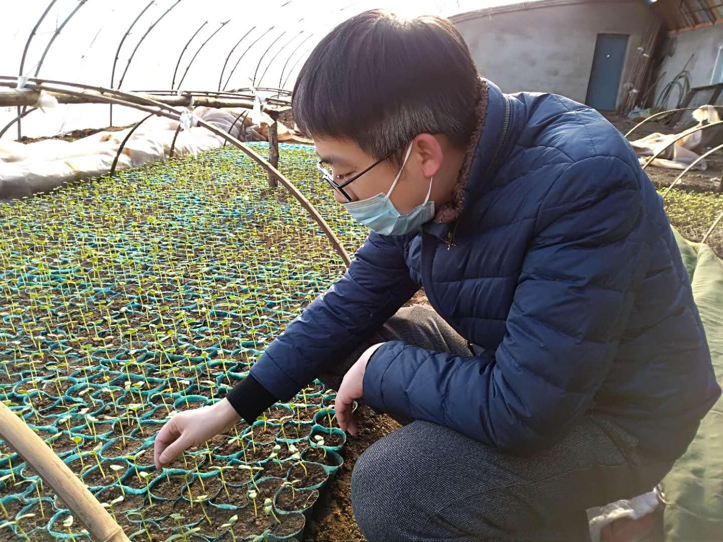 黑龙江省疫情通知文件发布,精准防控与科学管理的深度解析 黑龙江省疫情通知文件发布,精准防控与科学管理的深度解析