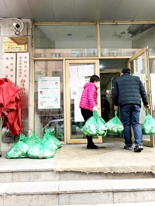 哈尔滨疫情通知公告，最新防控政策与市民应对指南