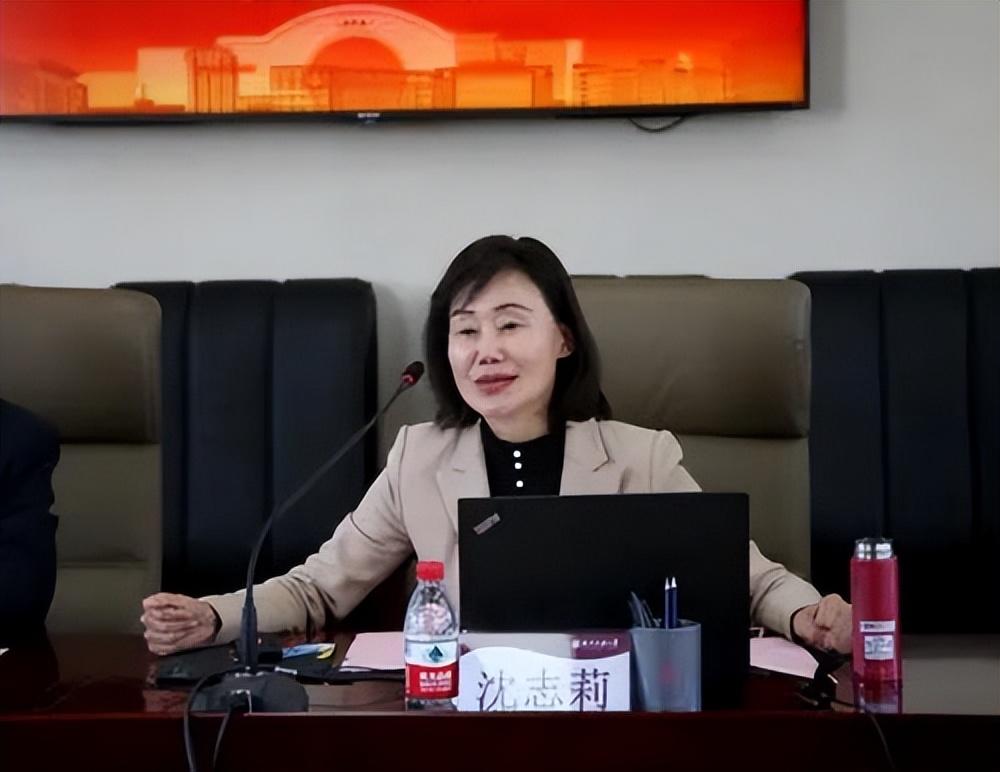 黑龙江省疫情形势分析与防控策略，冰雪之地的坚韧守护