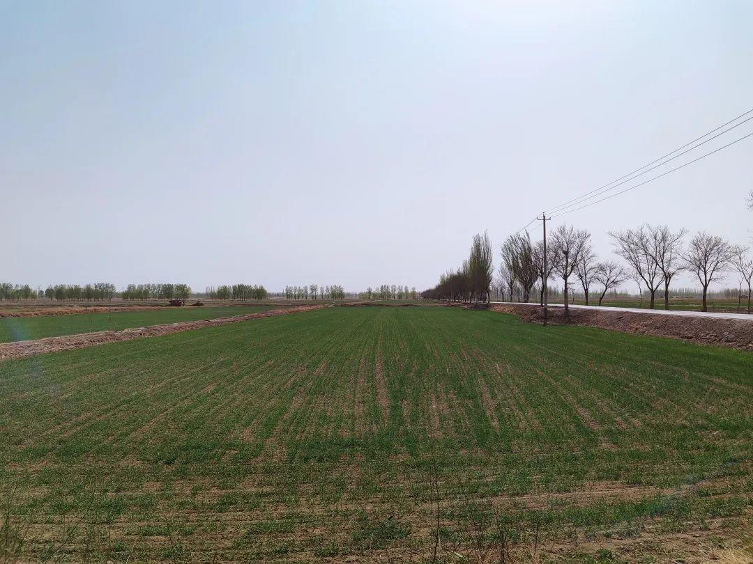 宁夏银川防疫情况,精准防控与民生保障的双重奏 宁夏银川防疫情况,精准防控与民生保障的双重奏