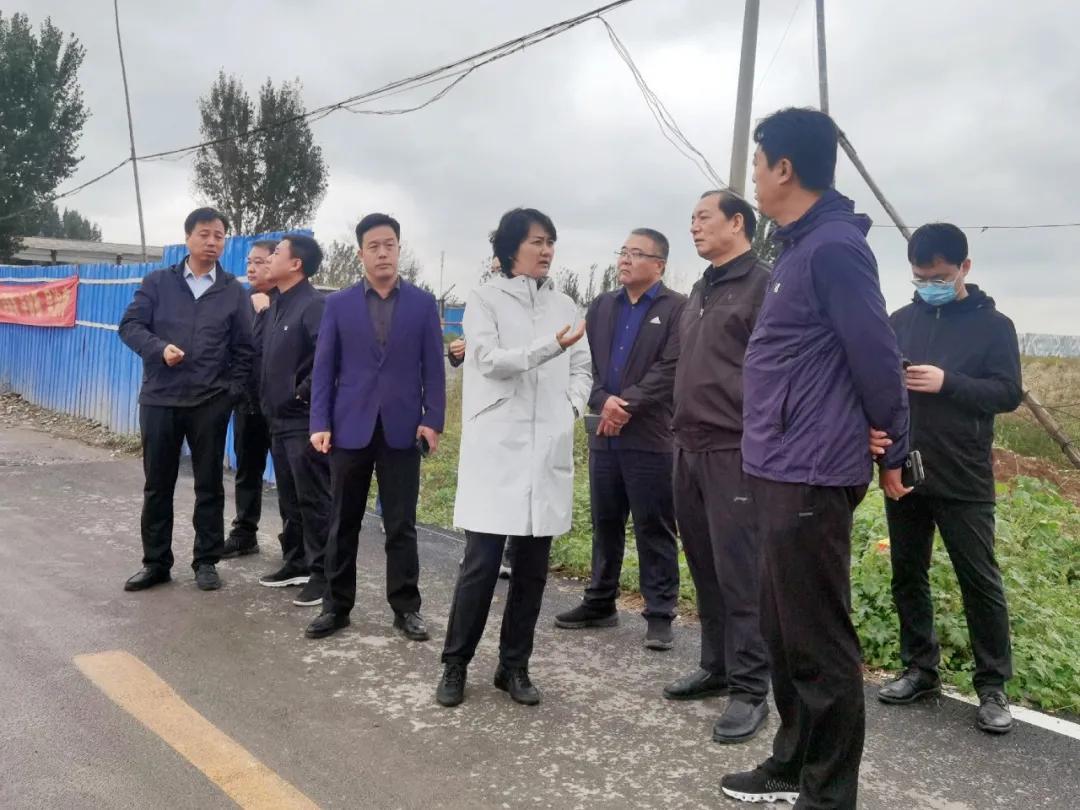 黑龙江省疫情最新动态与太原未来天气变化分析，双城记下的生活指南