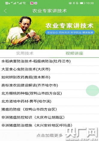 黑龙江省疫情实时播报，最新动态与防控措施全面解析