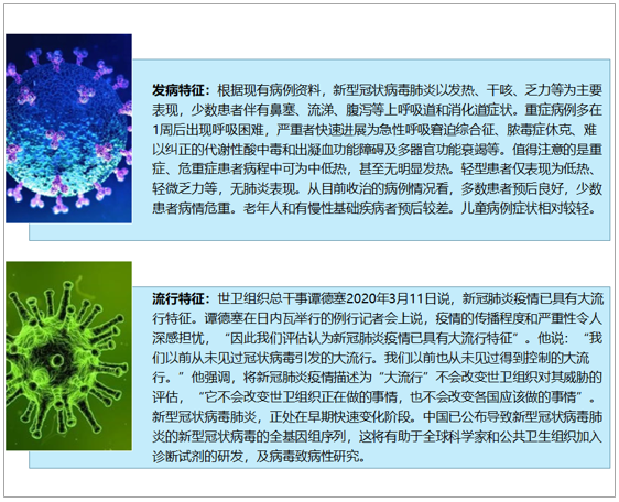 广西壮族自治区新型冠状病毒最新动态与防控策略解析