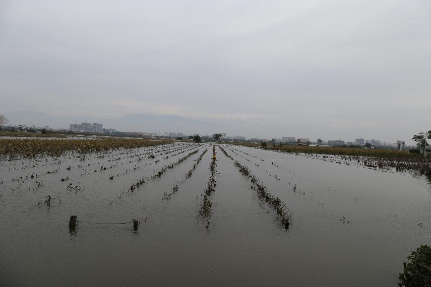 福州宁德疫情下的坚韧与守望,山海相连,共克时艰 福州宁德疫情下的坚韧与守望,山海相连,共克时艰