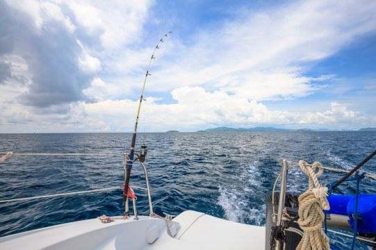 广西壮族自治区疾病防控体系,筑牢健康屏障,守护八桂大地 广西壮族自治区疾病防控体系,筑牢健康屏障,守护八桂大地