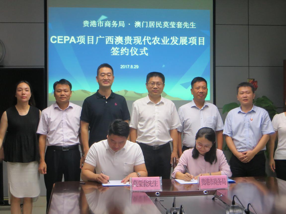 广西居民赴澳门一月一签政策详解，可行性与注意事项