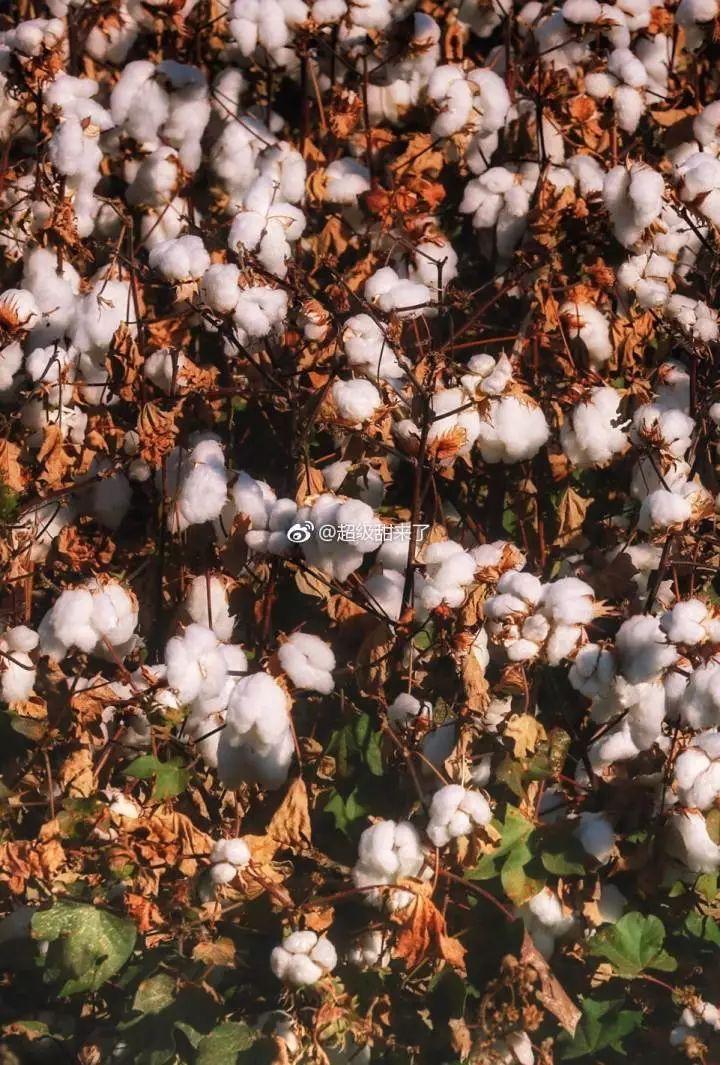 广西出发乌鲁木齐最省钱全攻略！学生党&穷游党必看，全程亲测不到800元！