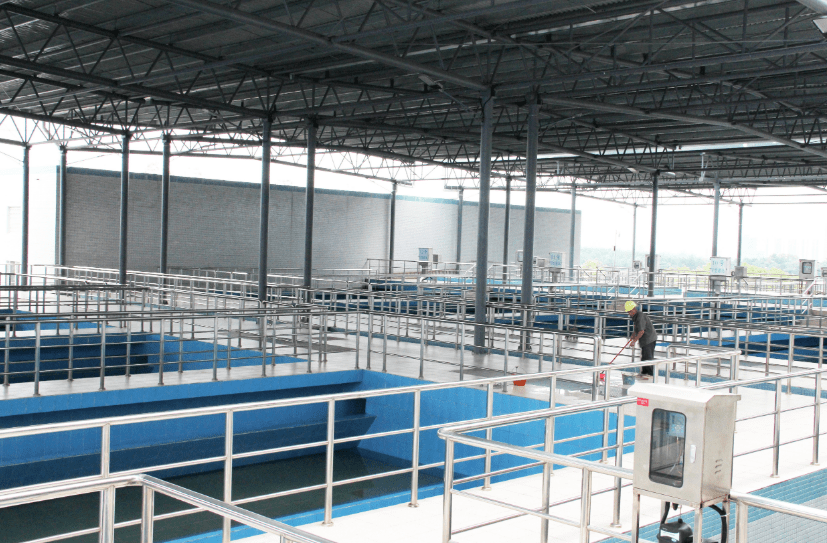 西宁疫情怎样了？最新防控进展与市民生活全解析