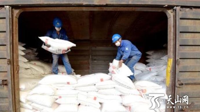 广西壮族自治区疫情防控工作组，筑牢南疆国门健康防线的坚实堡垒