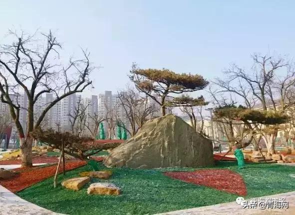 广西有西宁吗？揭秘地名背后的地理常识与文化误区