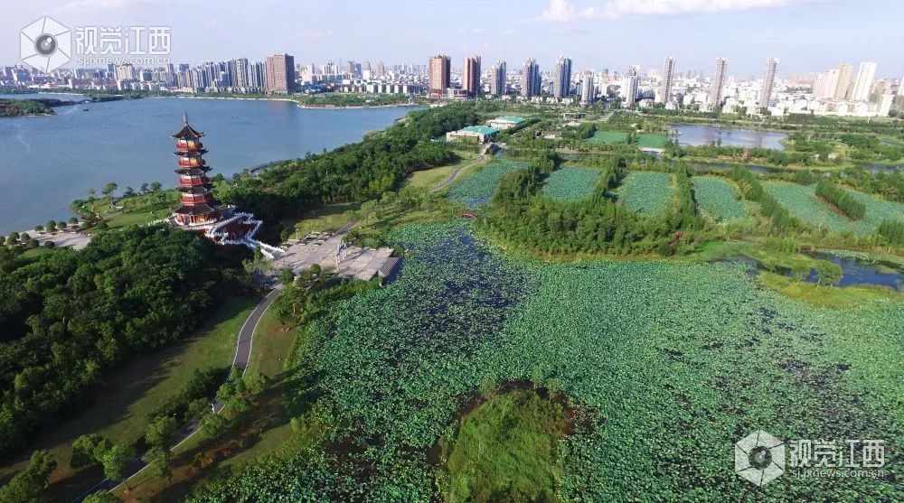广西南昌属于哪个省？揭秘地名混淆背后的真相与广西、江西的独特魅力