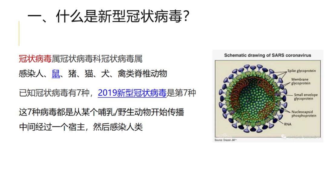 广西与武汉新型冠状病毒，区域防控经验与全国抗疫启示
