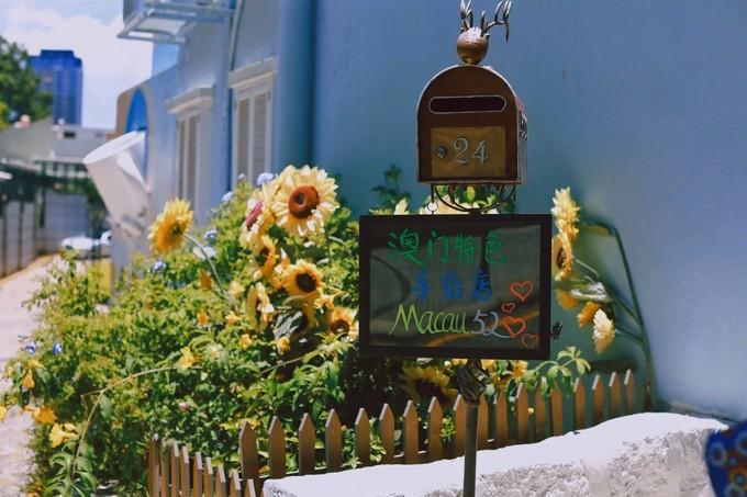 澳门疫情严重不？深度解析当前防控形势与市民应对策略