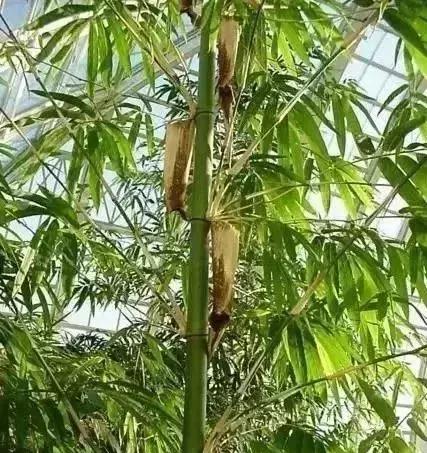 澳门疫情平稳过渡防控常态化，海口严守入琼关口政策精细化