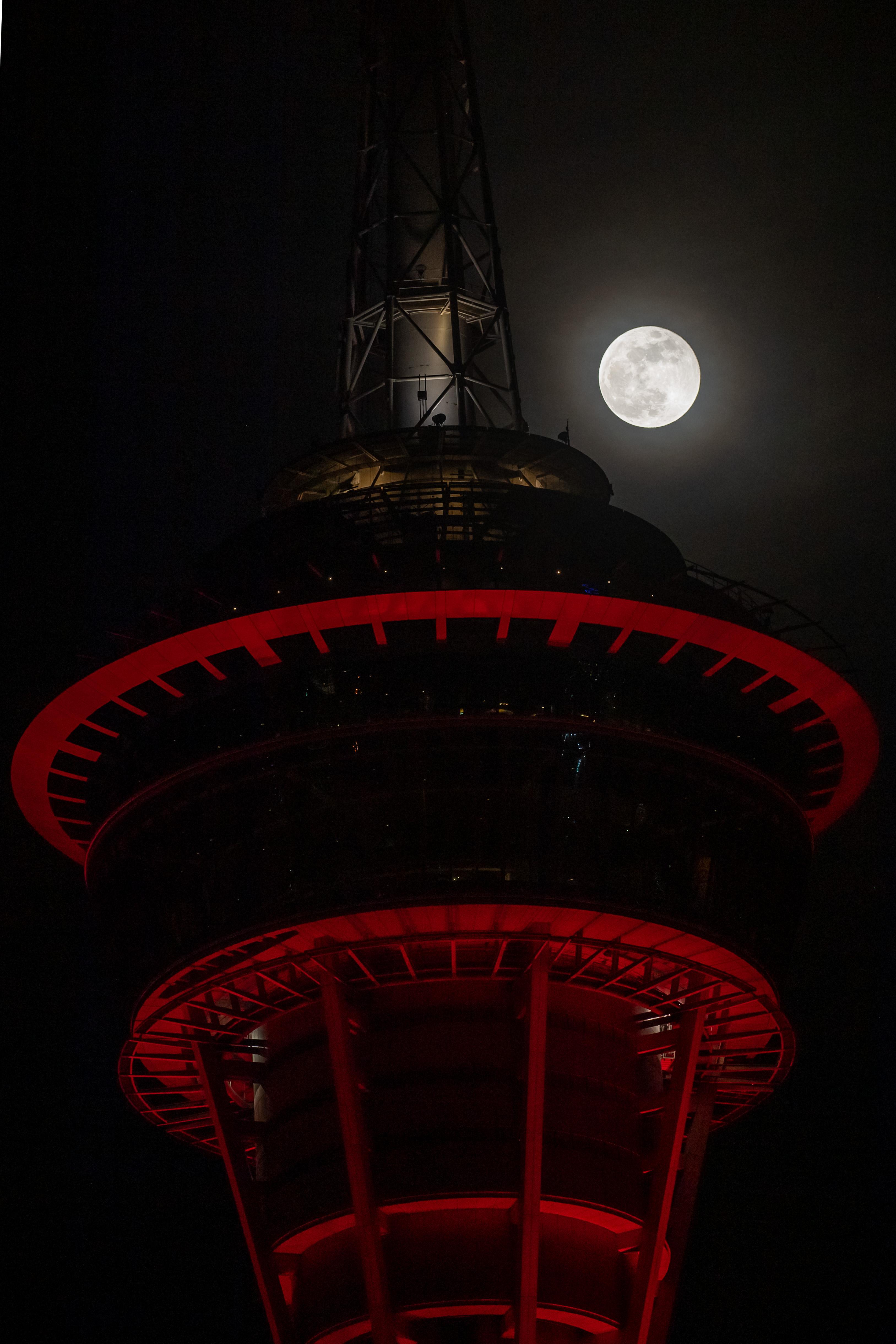 澳门疫情平稳过渡,银川防控政策优化,后疫情时代的区域协同与民生保障新思考 澳门疫情平稳过渡,银川防控政策优化,后疫情时代的区域协同与民生保障新思考