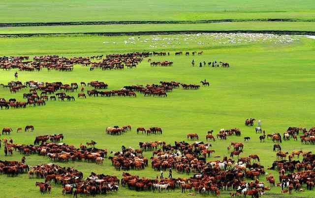 呼和浩特去澳门,一场从草原到濠江的独特之旅 呼和浩特去澳门,一场从草原到濠江的独特之旅