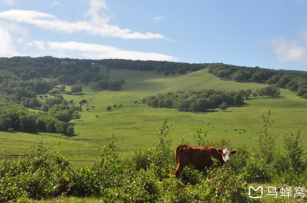 呼和浩特去澳门,一场从草原到濠江的独特之旅 呼和浩特去澳门,一场从草原到濠江的独特之旅