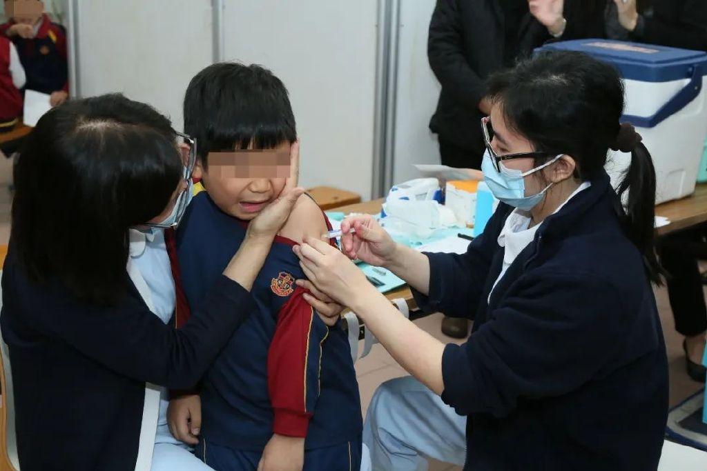 澳门防疫政策对香港的启示，精准防控与区域协作的成功密码