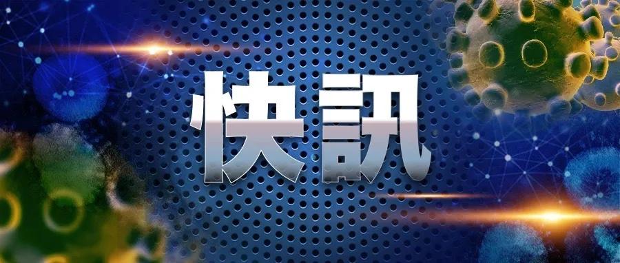 澳门疫情通关政策，动态调整下的民生与经济平衡之道