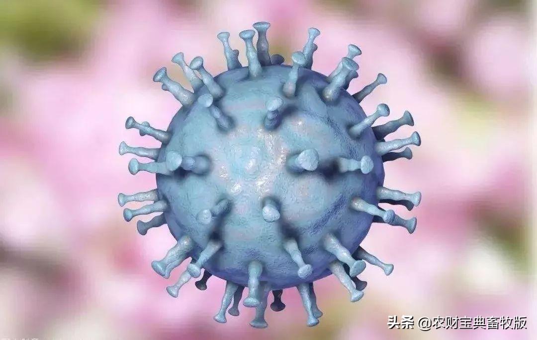 哈尔滨疫情拷问，疫苗究竟有没有用？数据与事实给出明确答案