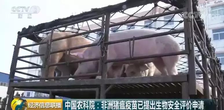 哈尔滨疫情拷问，疫苗究竟有没有用？数据与事实给出明确答案