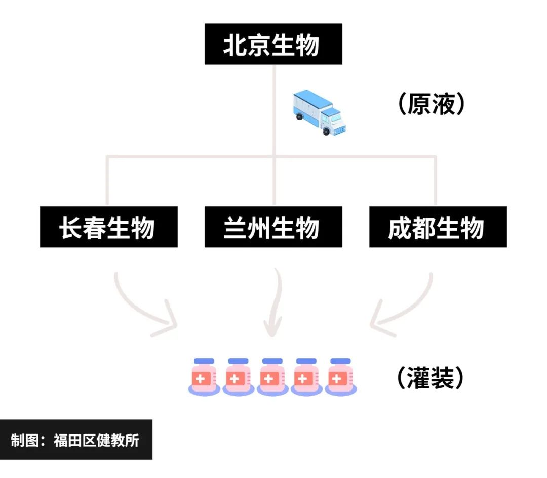 北京生物 vs 长春生物，新冠疫苗大不同，背后技术路线与保护力全解析