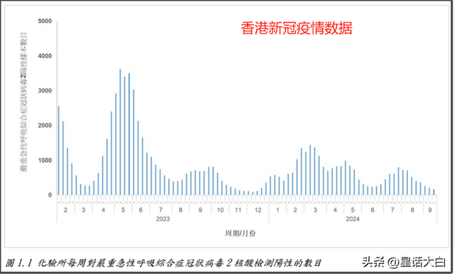 香港疫情分布最新情况，区域热点、传播趋势与防控焦点深度解析