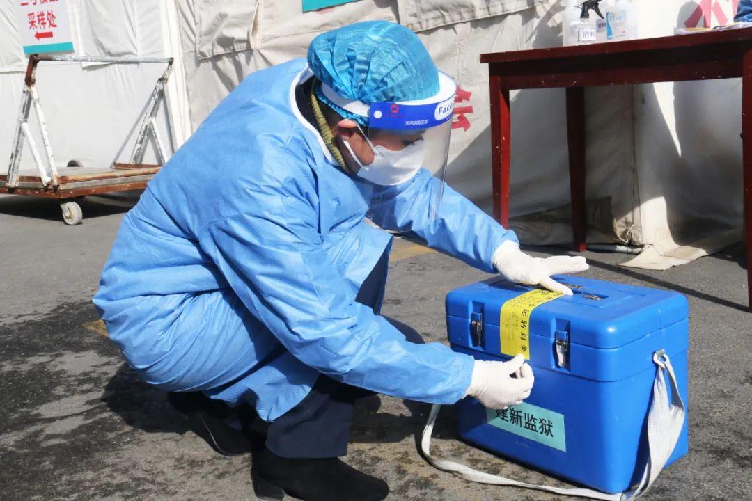 青海省疫情数据分析报告