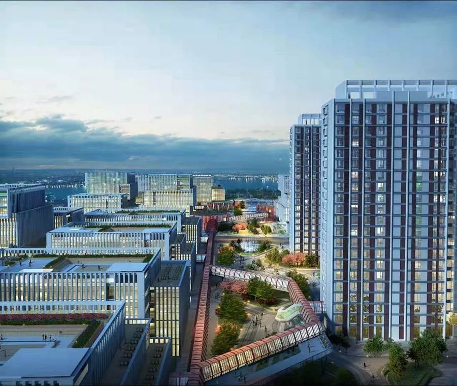 香港有哈尔滨市区大吗？详细对比两地面积与城市特色
