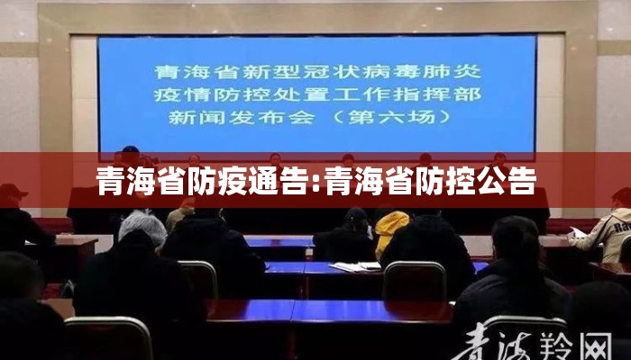 青海省政府疫情公告，最新防控措施及台湾民众关注