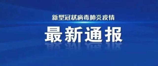 郑州疫情外溢现象解析，区域联动与防控策略的再思考