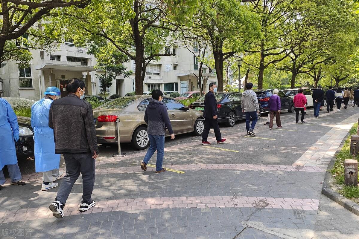 上海市疫情防控指挥部电话号码，关键信息、使用指南与公众责任