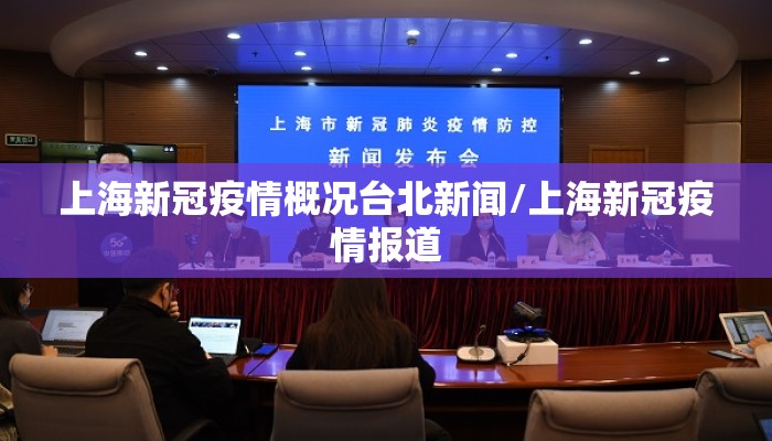 沪台同心，解析上海市疫情期间最新政策与台北经验借鉴