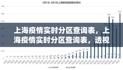 上海疫情实时更新数据，最新情况与防控措施解析